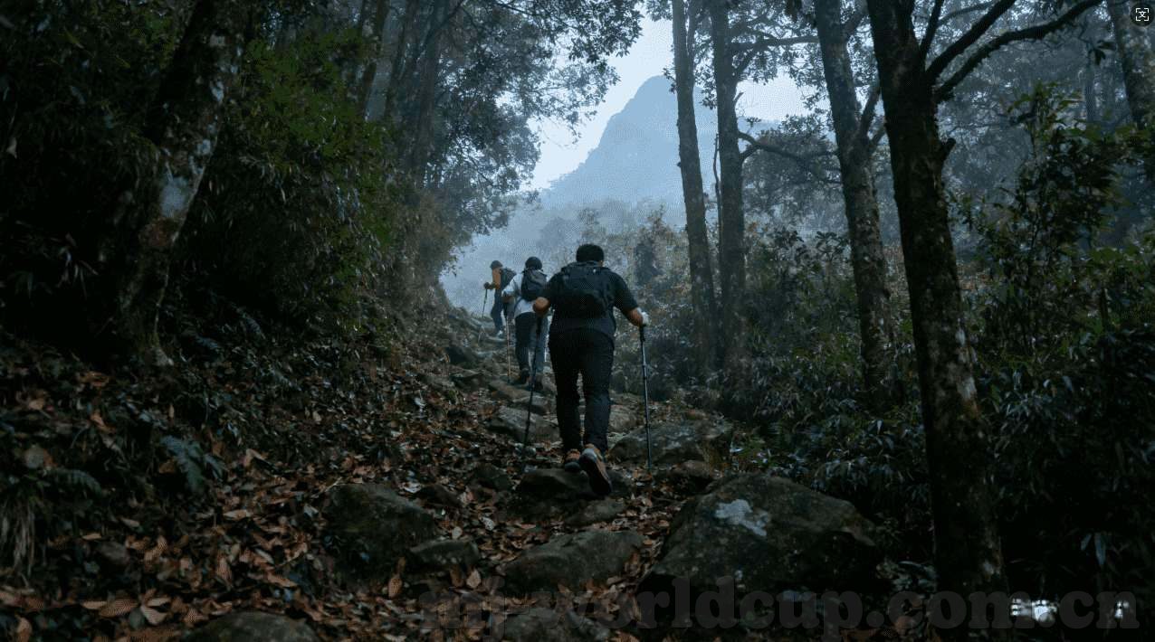 世界杯买球软件排名-世界杯买球软件排名，如何选择合适的平台